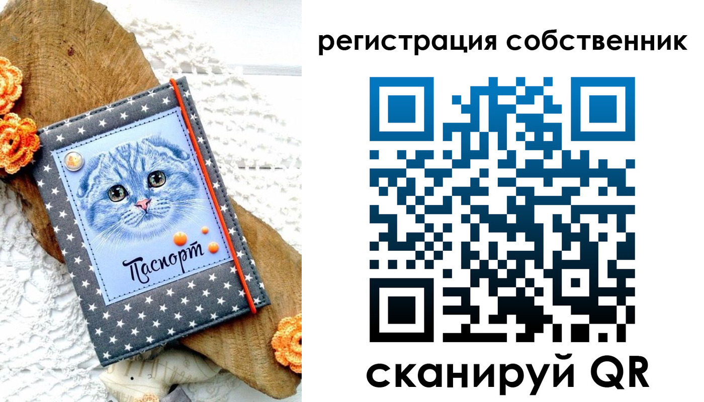 прописка для работы в Ельне